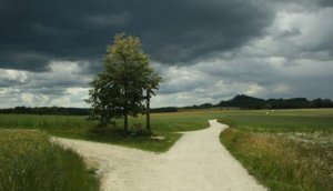 weggabel