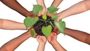 Community Collaboration