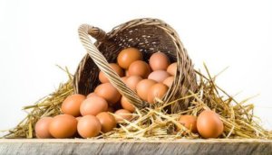 Chicken eggs in basket isolated. Organic food
