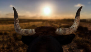 Bitcoin-Kurs Long Position?