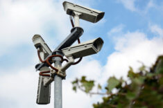 CBDC, digitales Zentralbankgeld