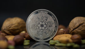 Cardano-Münze mit Nüssen