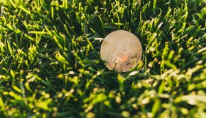 eine bitcoin-münze auf einer grünen wiese