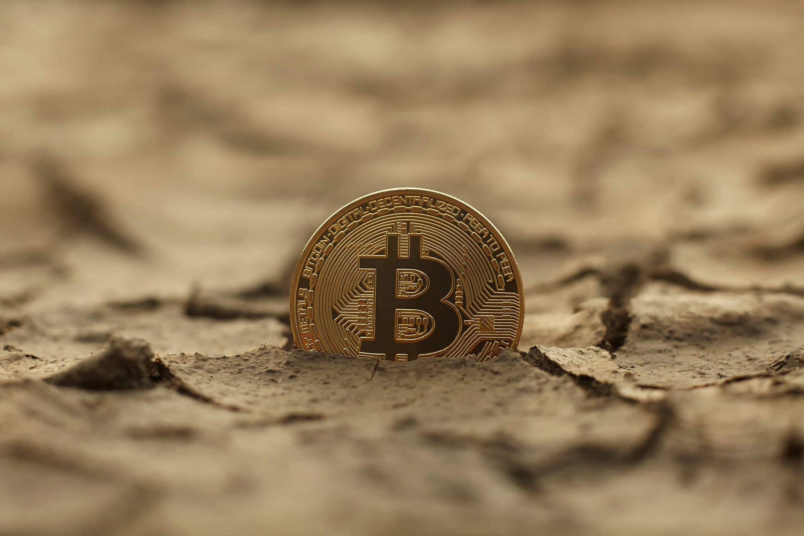 Eine Bitcoin-Münze ragt aus einem ausgetrockneten Boden