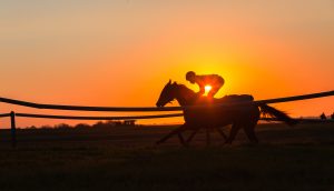 Bitcoin-Reiter auf seinem Pferd