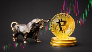Bitcoin könnte in diesem Marktzyklus noch deutlich höher steigen