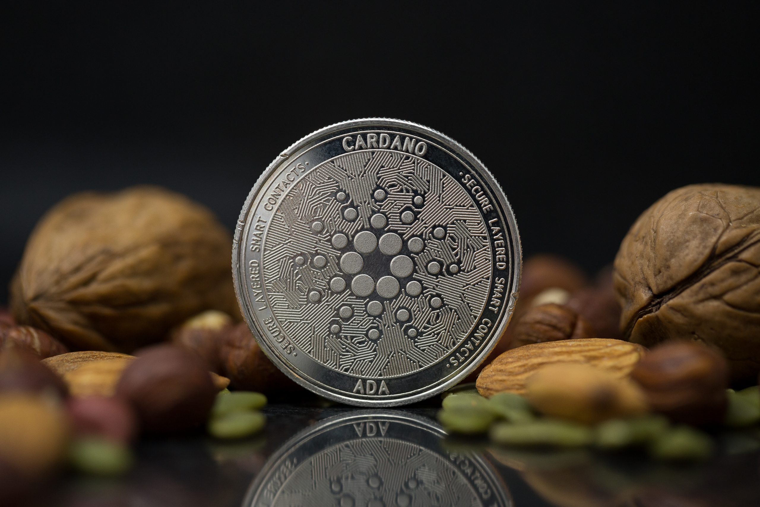 Cardano-Münze neben Nüssen