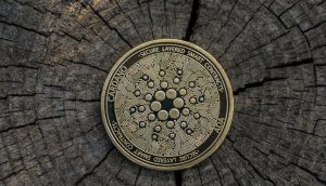Cardano-Münze