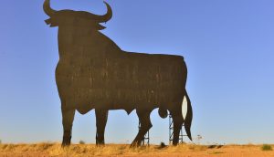 Bull