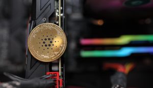 Cardano