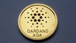Cardano