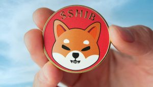 Shiba Inu Münze
