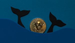 Bitcoin-Münze