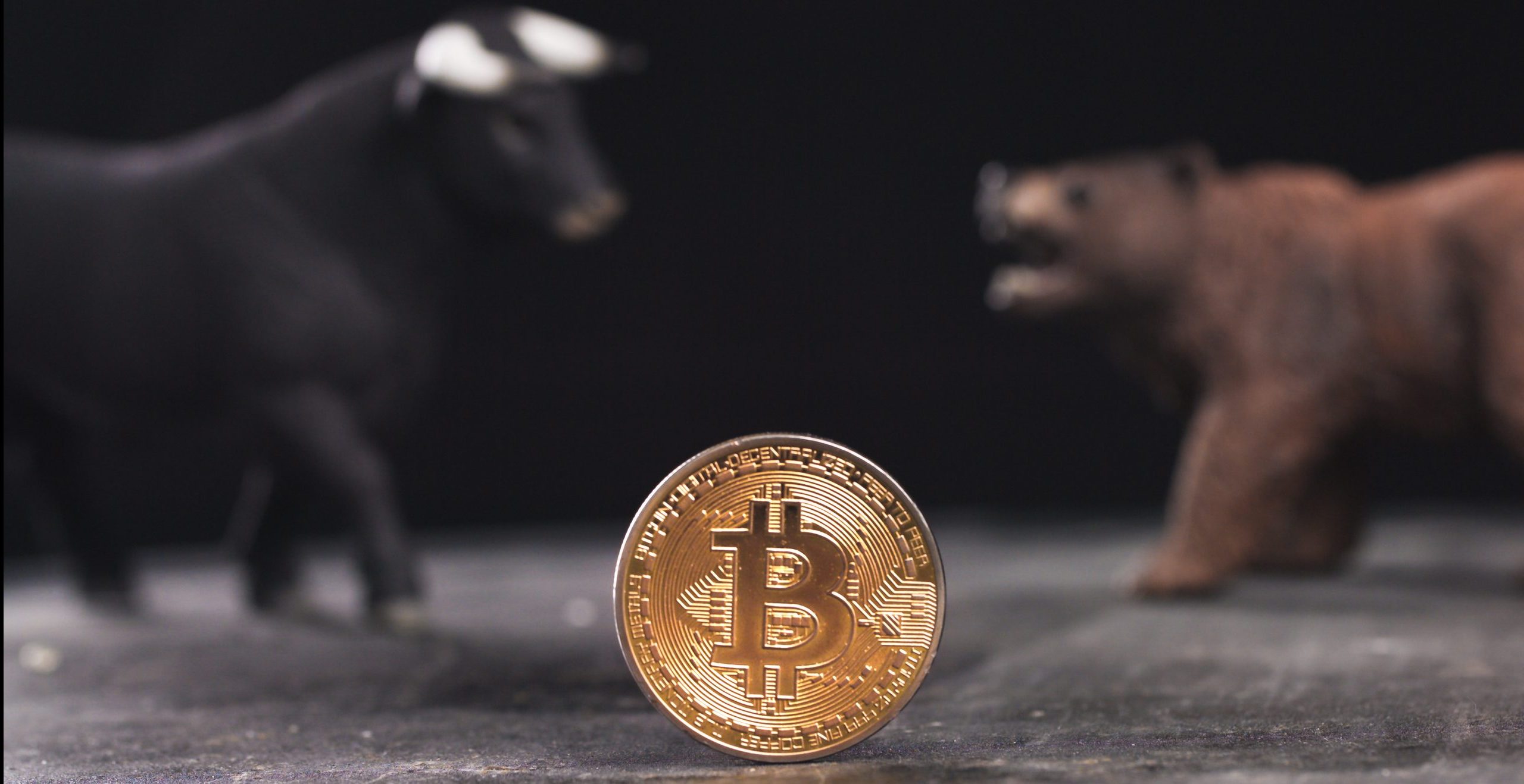 Bitcoin Münze mit Bullen und Bären im Hintergrund