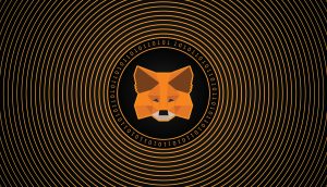 Krypto Wallet Metamask