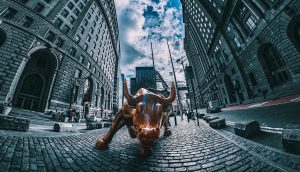 Wall Street Bull Krypto