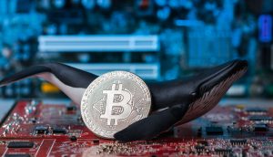 Bitcoin Wal
