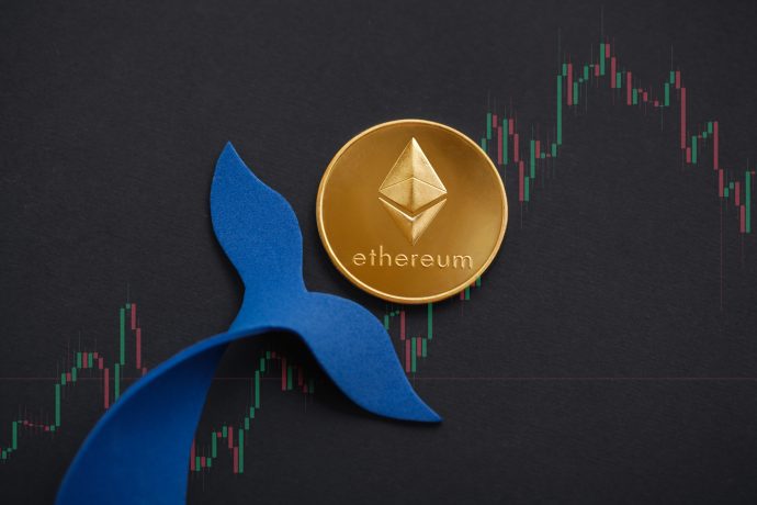 Wale besitzen immer mehr Ethereum