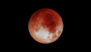 Reddit Moon