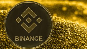 Binance Coin (BNB)