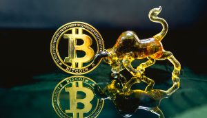 Bitcoin Bullen bullish Krypto