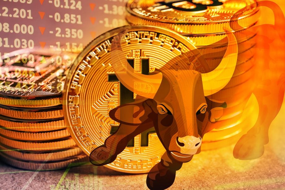 Bitcoin-Bull