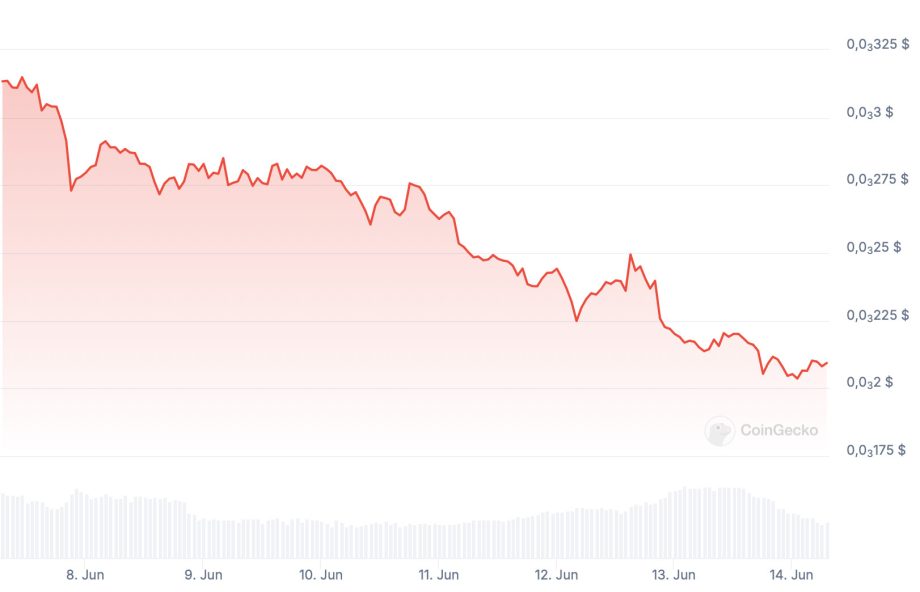 Floki-Kursverlauf der letzten sieben Tage | Quelle: Coingecko
