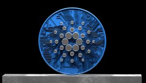 Cardano Voltaire