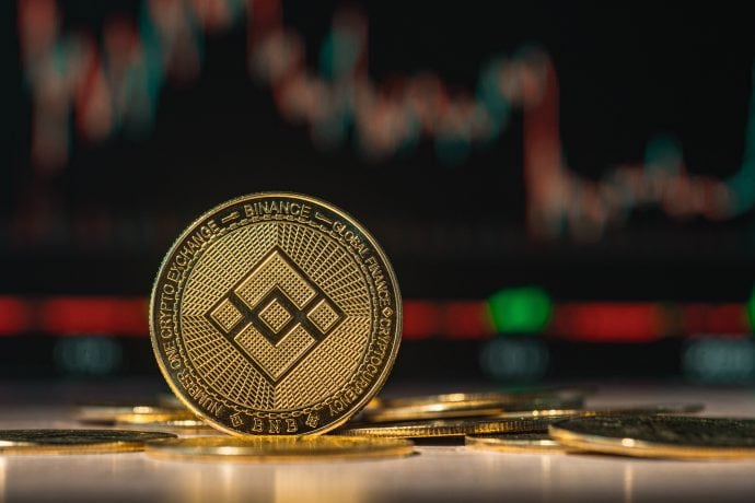 Binance Coin (BNB)