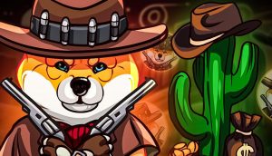 Shiba Shootout