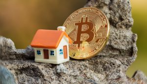 BTC gegen Immo