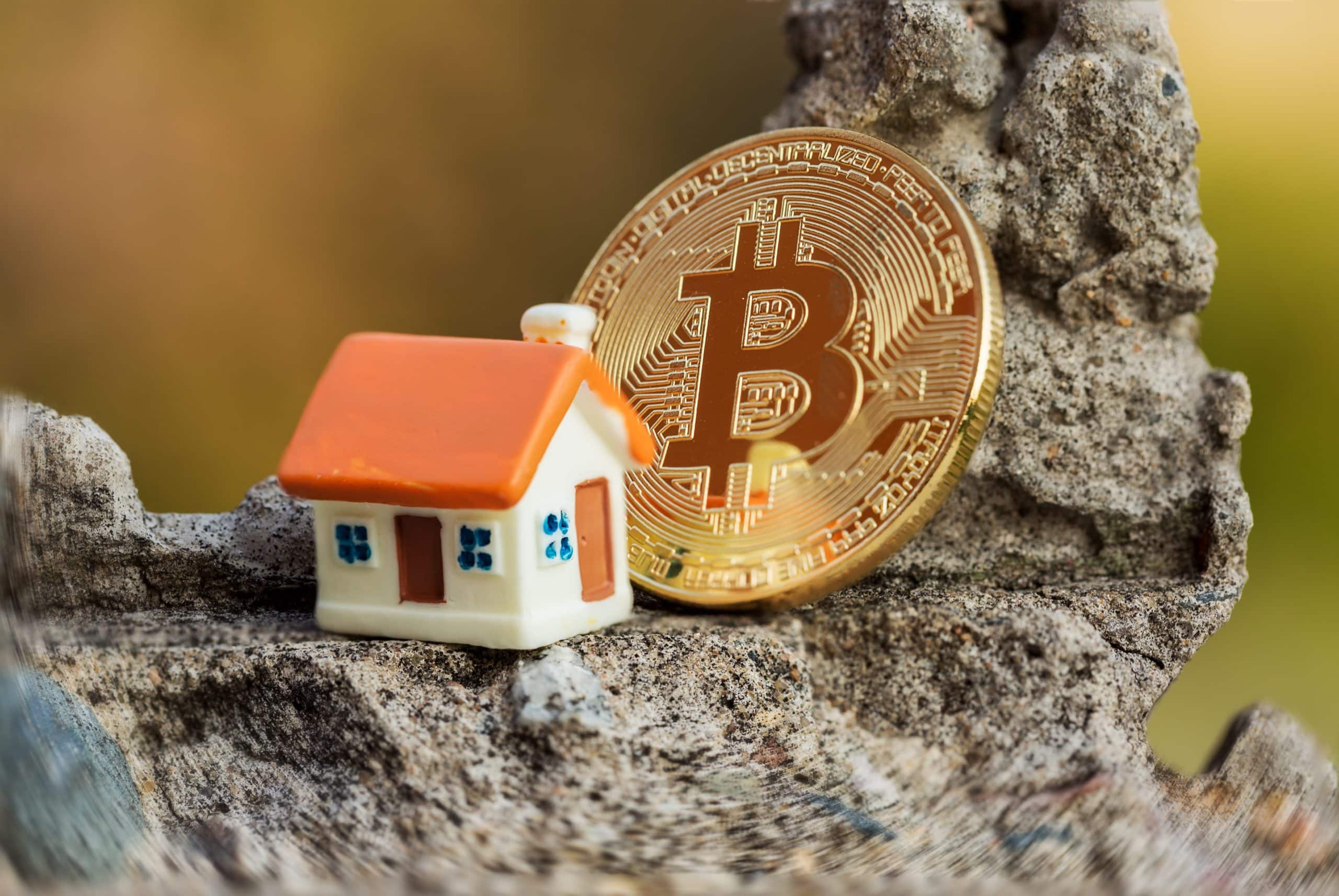 BTC gegen Immo